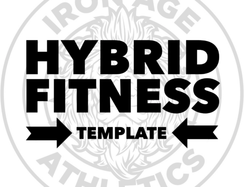 Hybrid Fitness Template